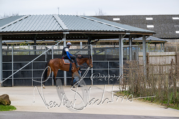 Legacy Racing Club at Tom Ward Racing  (50 of 243)