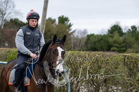 Legacy Racing Club at Tom Ward Racing  (54 of 243)