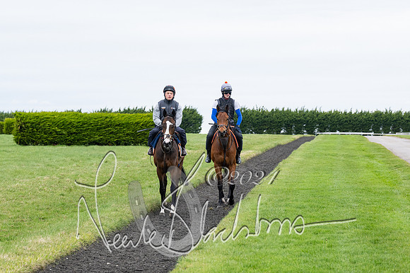 Legacy Racing Club at Tom Ward Racing  (104 of 243)
