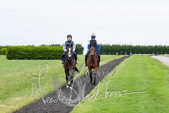 Legacy Racing Club at Tom Ward Racing  (105 of 243)