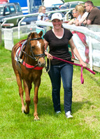 Pony Races