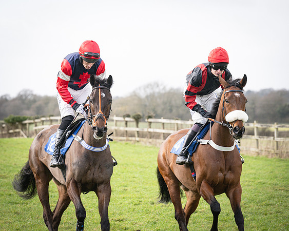 Race 1 - Four and Five year Old Maiden (48 of 137)