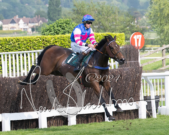 Race 1 - The Bottle Green Open Hunters steeplechase 2m62y (42 of 93)