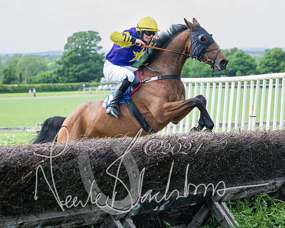 Race 2 - Restricted  (280 of 308)