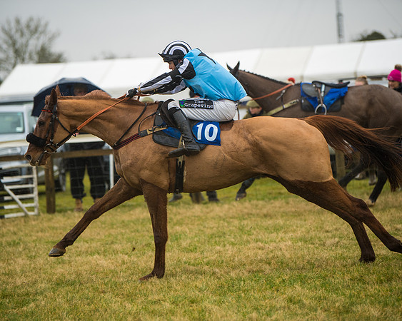 Race 1 - Hunt Members (124 of 169)