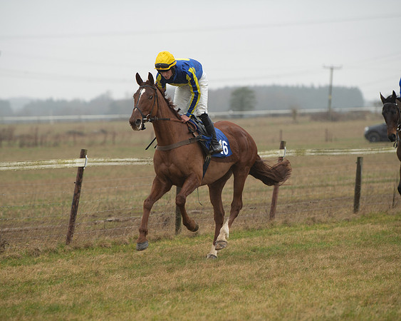 Race 2 - Restricted (3 of 174)