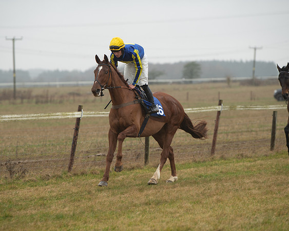 Race 2 - Restricted (4 of 174)