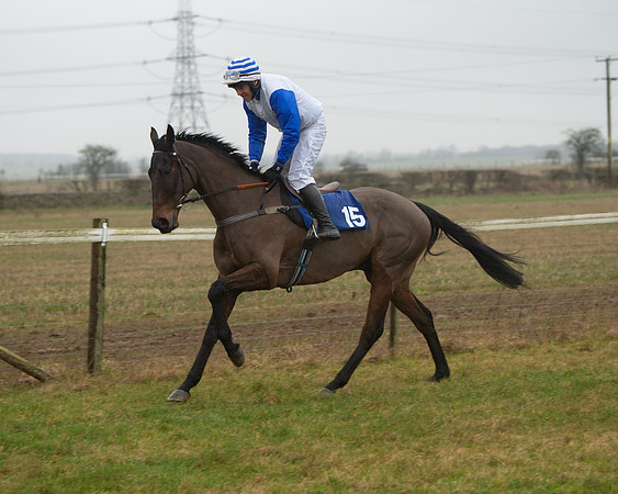 Race 2 - Restricted (10 of 174)