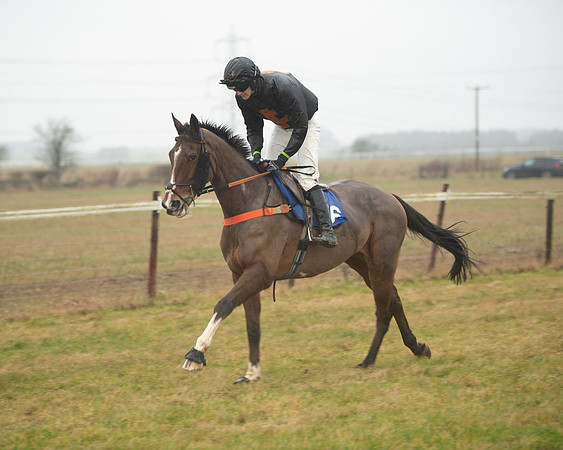 Race 3 - Novice Riders (25 of 218)