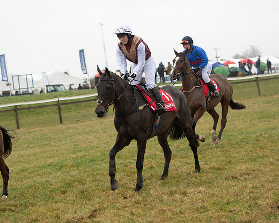 Race 4 - Ladies Open  (7 of 146)