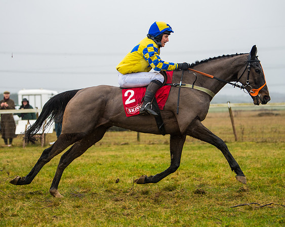 Race 4 - Ladies Open  (77 of 146)