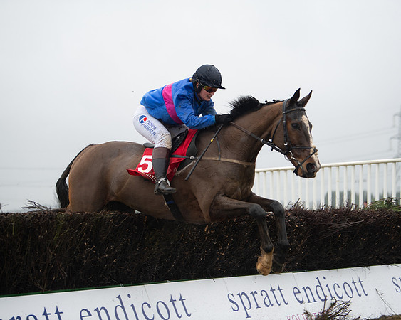 Race 4 - Ladies Open  (87 of 146)