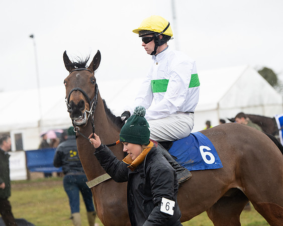 Race 6 - Young Horse Maiden (2 of 124)