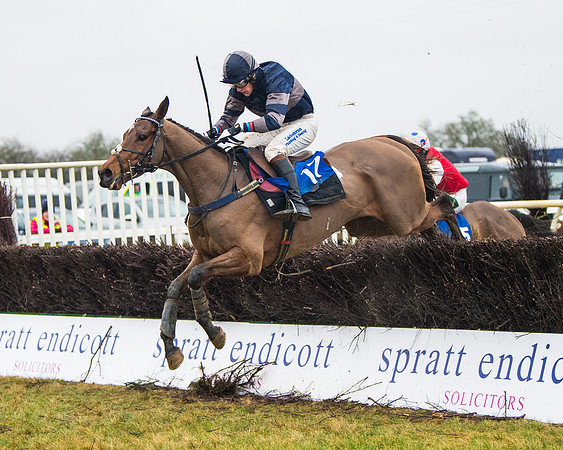 Race 6 - Young Horse Maiden (53 of 124)