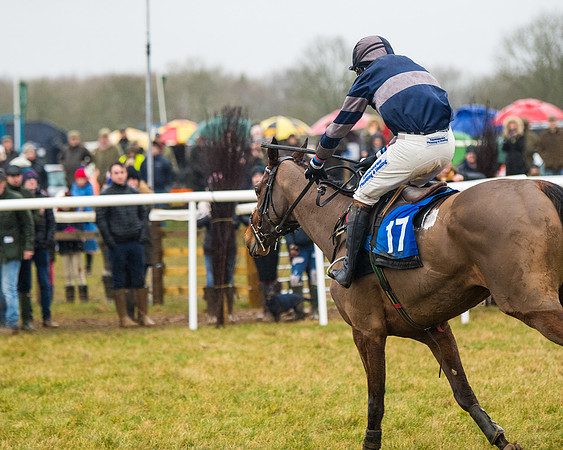 Race 6 - Young Horse Maiden (62 of 124)