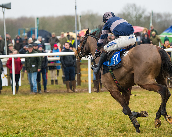 Race 6 - Young Horse Maiden (63 of 124)