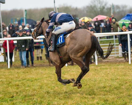 Race 6 - Young Horse Maiden (64 of 124)