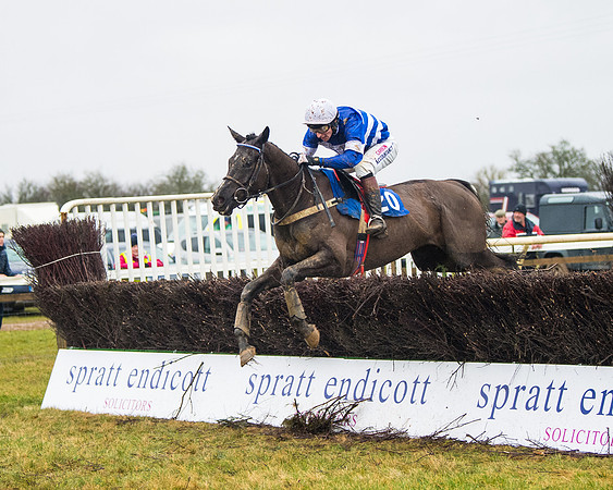 Race 6 - Young Horse Maiden (66 of 124)