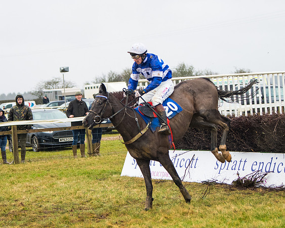 Race 6 - Young Horse Maiden (69 of 124)