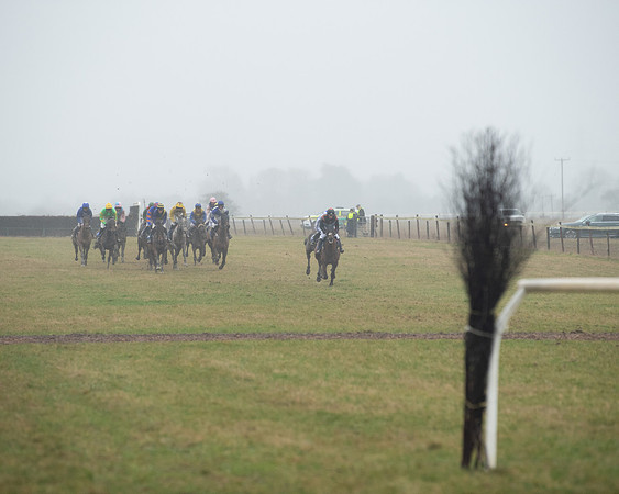 Race 7 - Open Maiden (40 of 200)