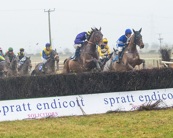 Race 7 - Open Maiden (51 of 200)