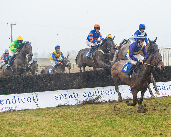 Race 7 - Open Maiden (57 of 200)