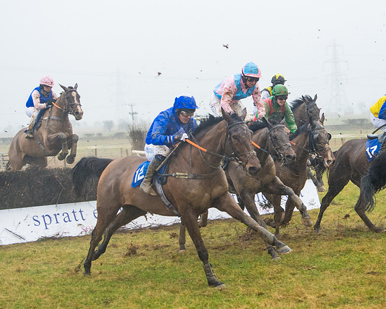 Race 7 - Open Maiden (66 of 200)