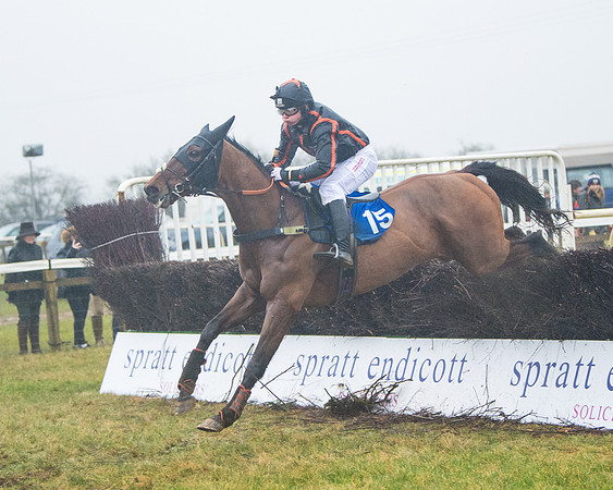 Race 7 - Open Maiden (79 of 200)