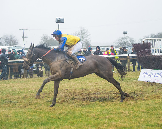 Race 7 - Open Maiden (107 of 200)