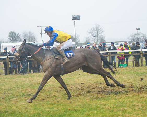 Race 7 - Open Maiden (108 of 200)