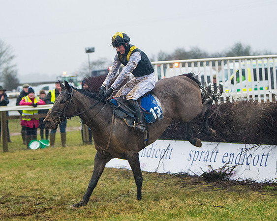 Race 7 - Open Maiden (120 of 200)