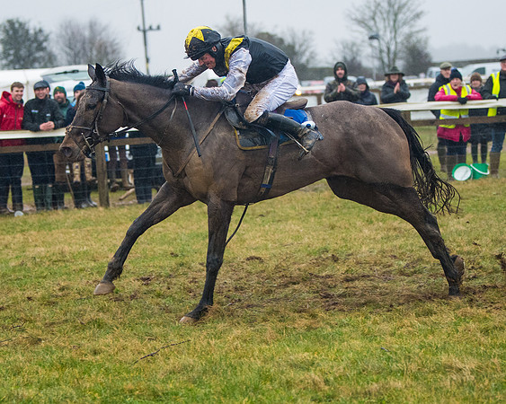 Race 7 - Open Maiden (124 of 200)