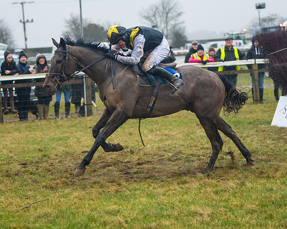 Race 7 - Open Maiden (123 of 200)