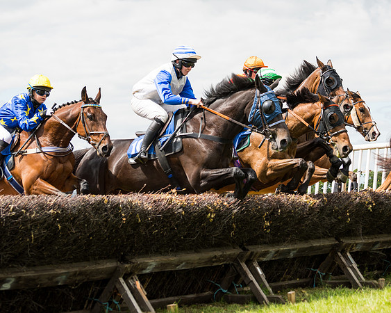 Race 2 - PPORA Novice Riders  (90 of 187)