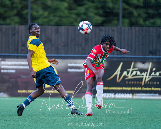 Windsor v Langley (85 of 235)