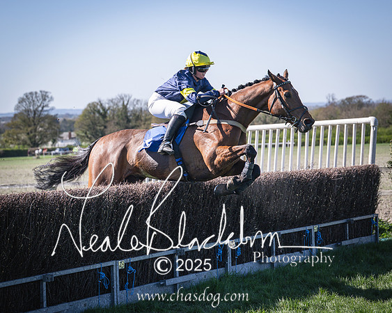 Race 5 - The restricted (82 of 113)