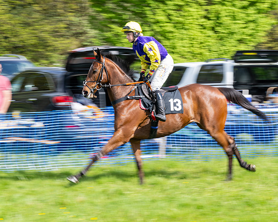 Race 4 -  2M4F Conditions  (16 of 102)