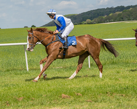 Race 2 - Restricted  (32 of 90)