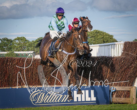 Race 5 - tipsterreviews.co.uk handicap (49 of 107)