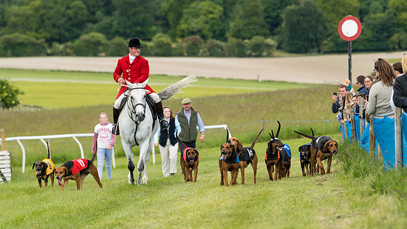 Hound Race  (43 of 49)