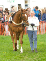 Kimblewick at Kimble Restricted Race