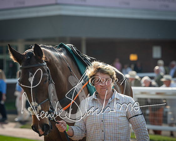 Race 2 - The Venatour sports travel intermediate point to point hunters’ steeplechase 5 year olds and over 3m2f (1 of 163)