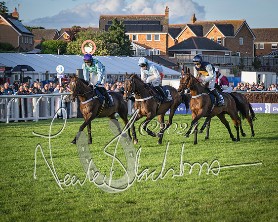 Race 5 - tipsterreviews.co.uk handicap (26 of 107)