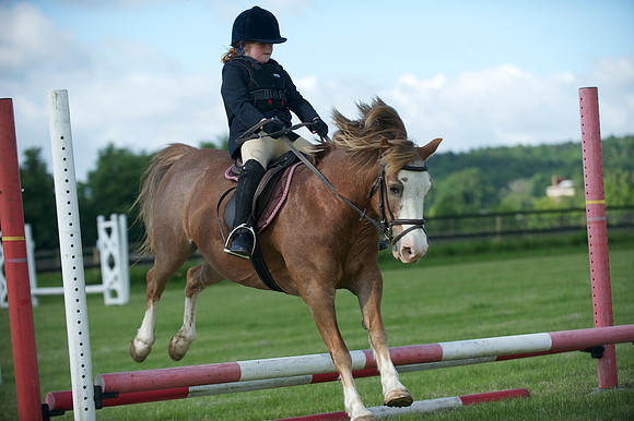 SOHS PC Summer Show at BCA 17th June 2012
