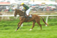 Old Berks at Lockinge PPORA novice and veteran riders race