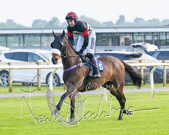 Race 5 - Peter Wright Handicap (24 of 117)