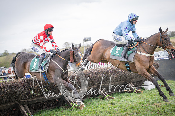 Race 6 - The Restricted Race (41 of 101)