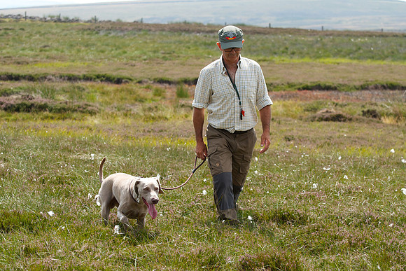 WCGB-27JUL-2013 Grouse Test Day  22