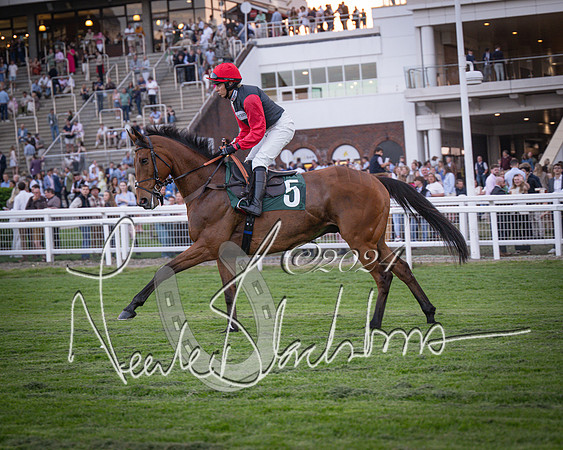 Race - 7 The Royal Gloucester Hussars Open Hunter's steeplechase 2m4f 127y (27 of 210)