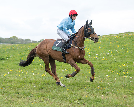 Race 3 - Warwickshire Hunt Members (6 of 65)